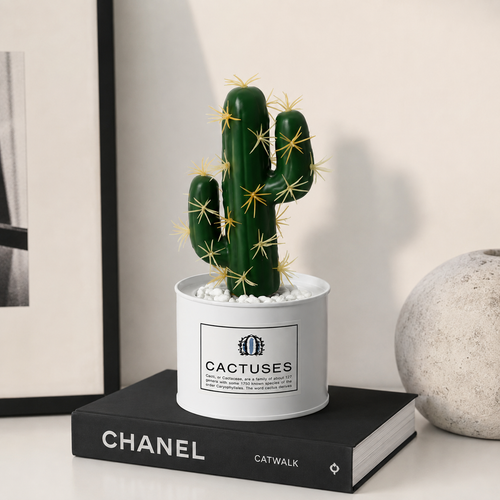 Fake Cactus Plant